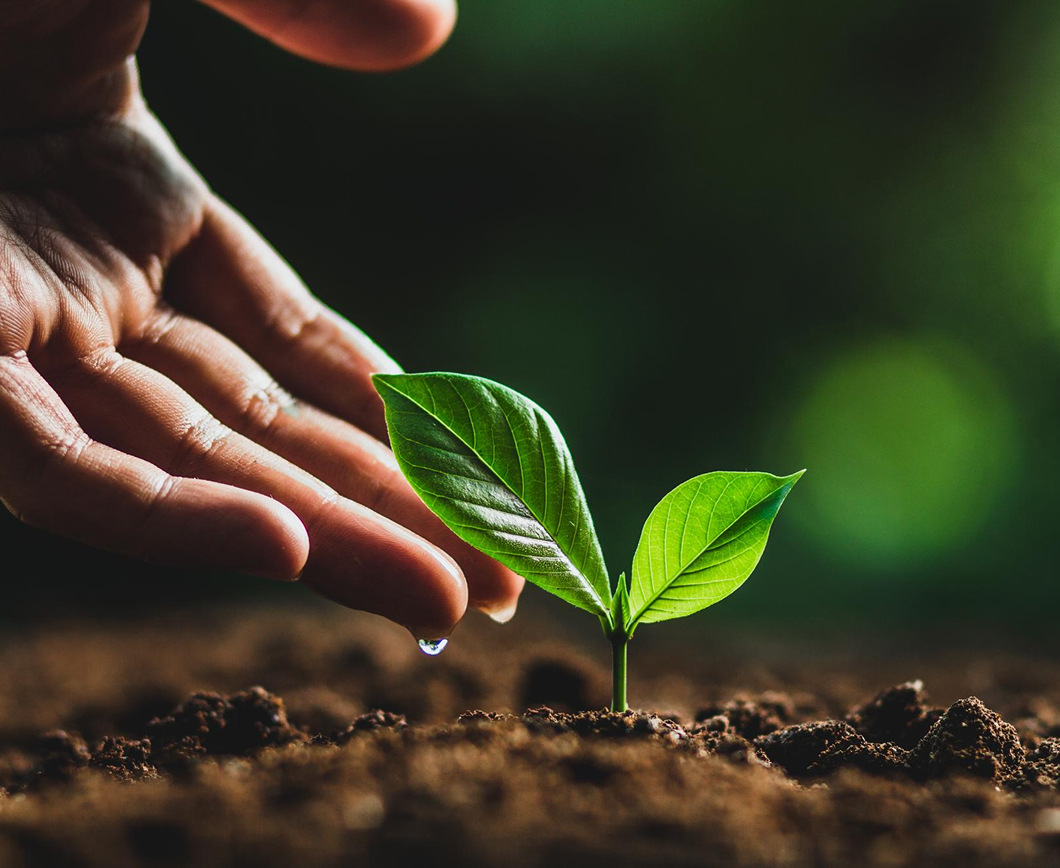 Sustainability